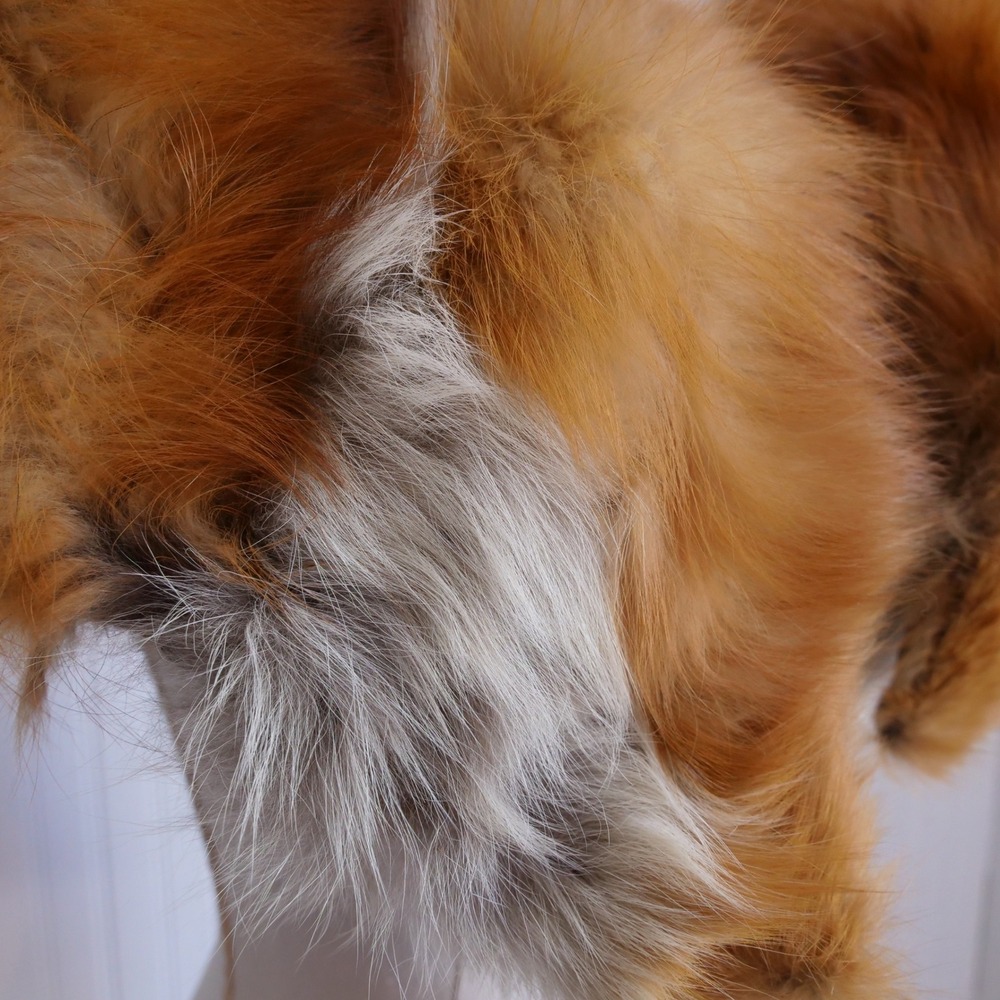 Vintage mid century two tone genuine fox fur collar - Picture 2 of 8